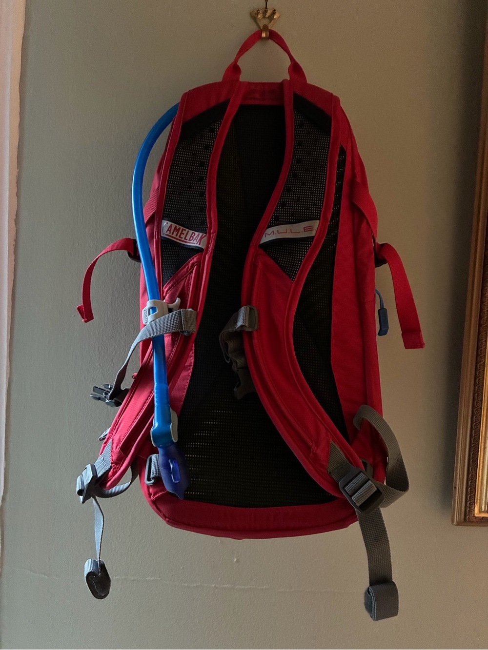 CamelBak M.U.L.E. 12 Hydration Pack Backpack - Red - Excellent Condition - Picture 2 of 16